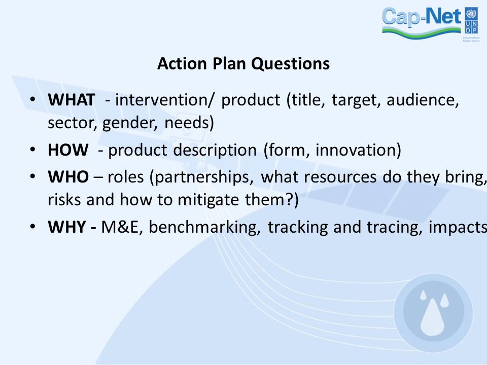 Action Plan Questions WHAT - intervention/ product (title, target, audience, sector, gender, needs) HOW - product description (form, innovation) WHO – roles (partnerships, what resources do they bring, risks and how to mitigate them ) WHY - M&E, benchmarking, tracking and tracing, impacts