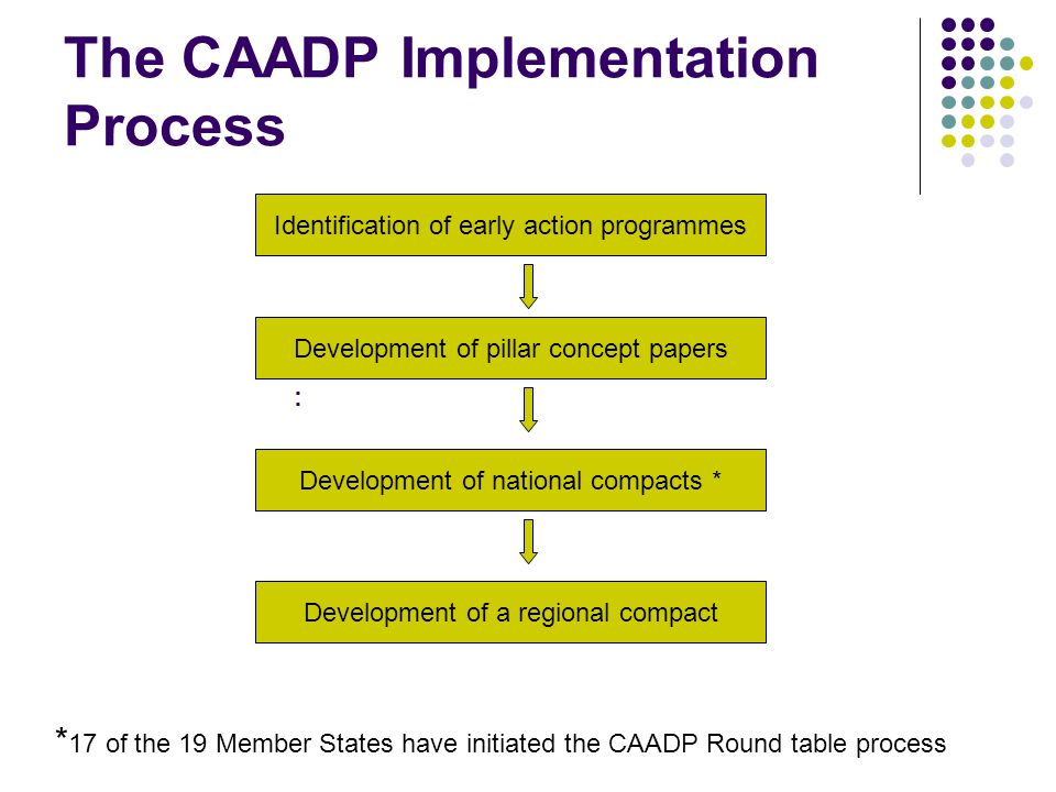 Development of national compacts * : The CAADP Implementation Process Development of pillar concept papers Identification of early action programmes Development of a regional compact * 17 of the 19 Member States have initiated the CAADP Round table process