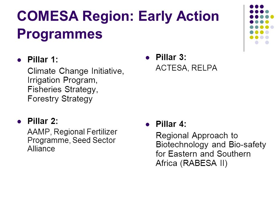 COMESA Region: Early Action Programmes Pillar 1: Climate Change Initiative, Irrigation Program, Fisheries Strategy, Forestry Strategy Pillar 2: AAMP, Regional Fertilizer Programme, Seed Sector Alliance Pillar 3: ACTESA, RELPA Pillar 4: Regional Approach to Biotechnology and Bio-safety for Eastern and Southern Africa (RABESA II)