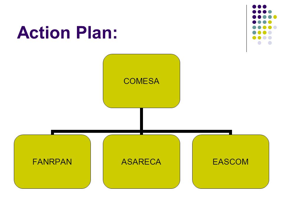 Action Plan: COMESA FANRPANASARECAEASCOM