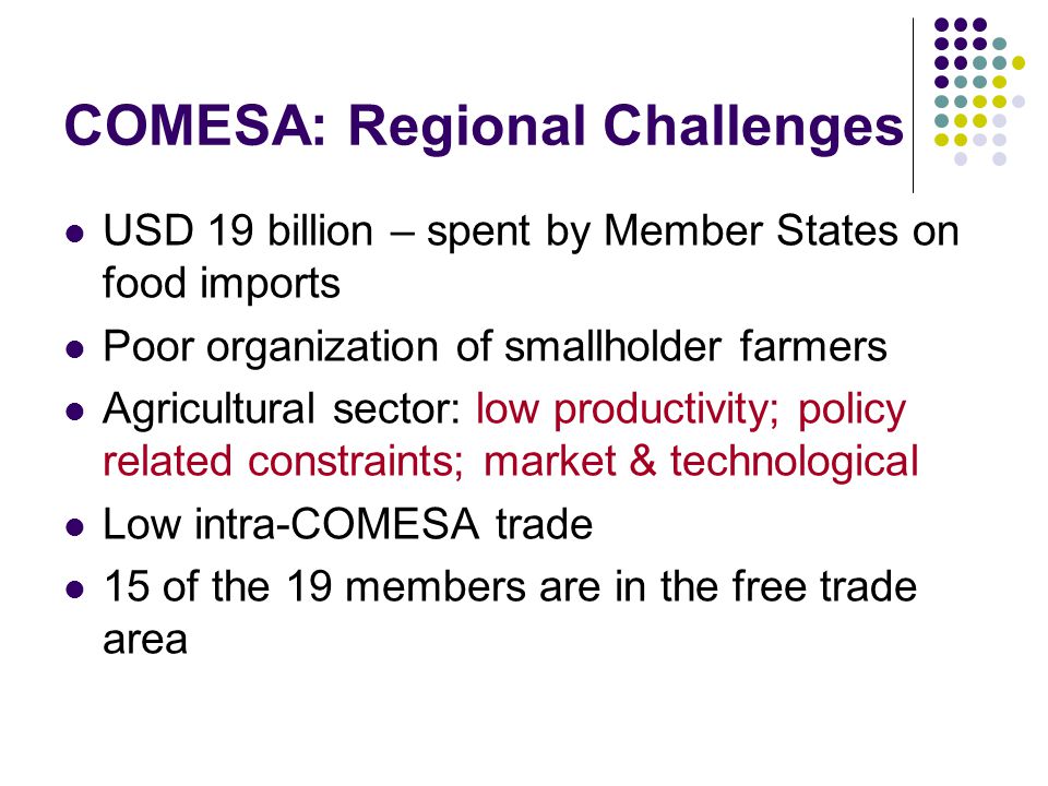 COMESA: Regional Challenges USD 19 billion – spent by Member States on food imports Poor organization of smallholder farmers Agricultural sector: low productivity; policy related constraints; market & technological Low intra-COMESA trade 15 of the 19 members are in the free trade area