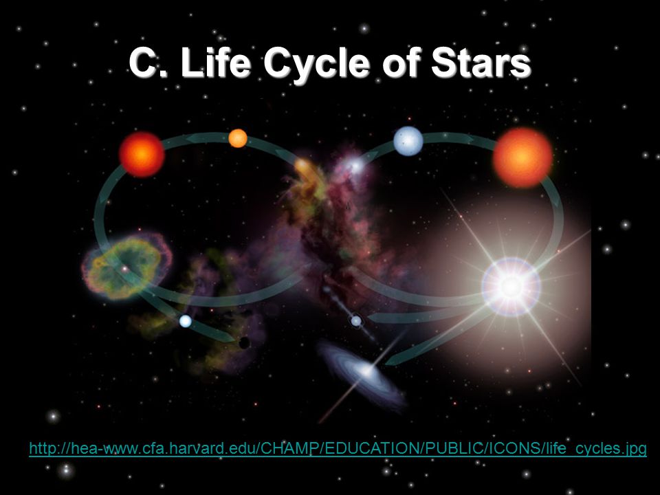 C. Life Cycle of Stars