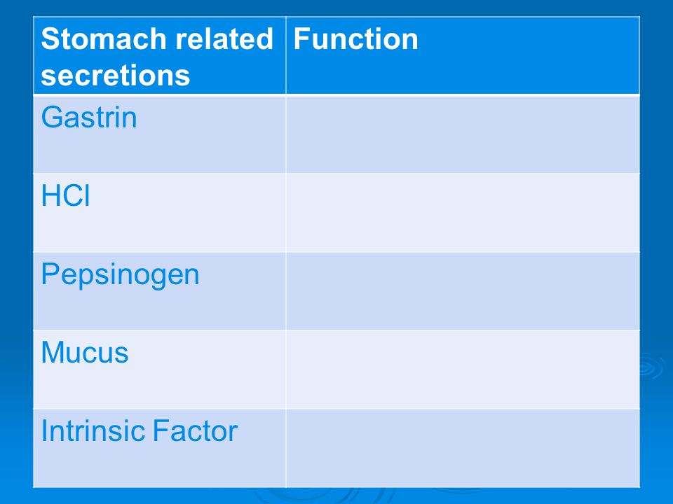 Stomach Related Secretions