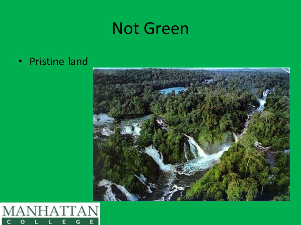 Not Green Pristine land