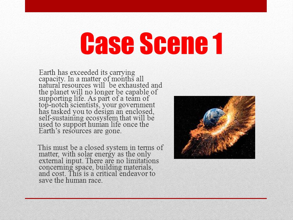 Truth Essay