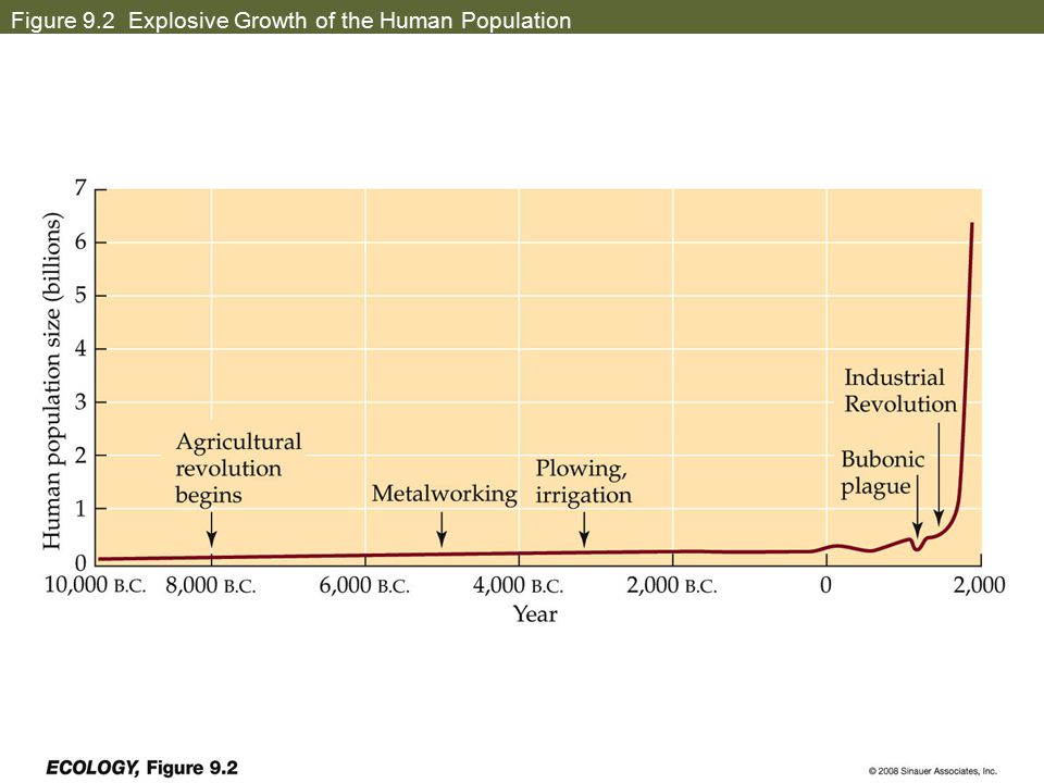 impact of human population growth Population growth is placing related to the fact that human population expanded from mere millions in had a huge impact on population growth. impact of human population growth Population growth is placing related to the fact that human population expanded from mere millions in had a huge impact on population growth.