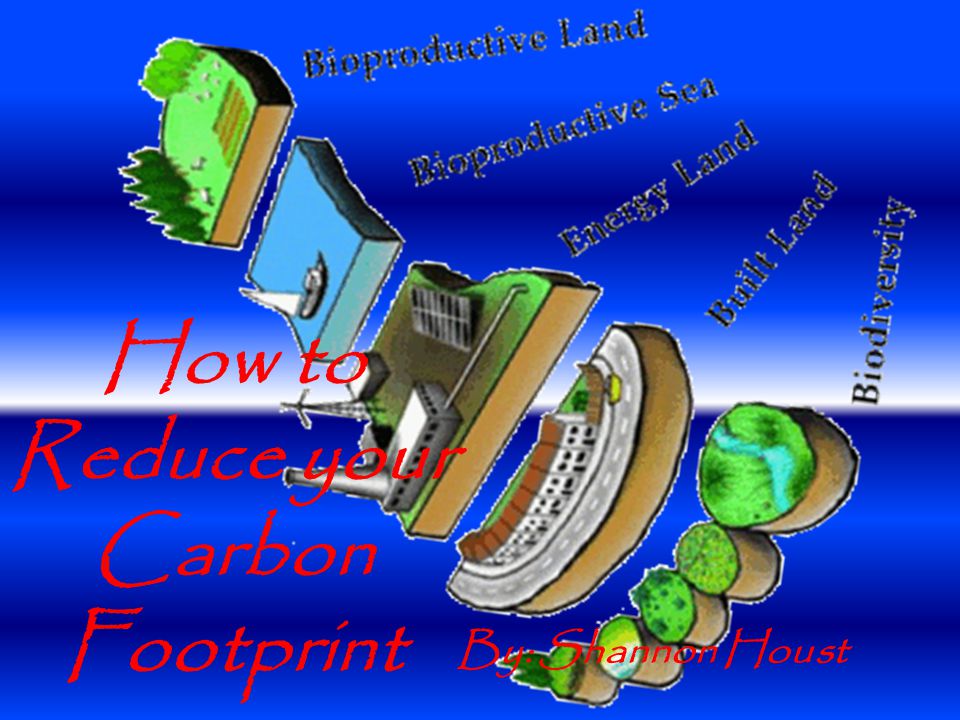 How to Reduce your Carbon Footprint By: Shannon Houst