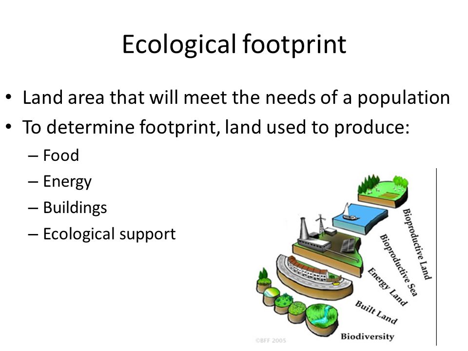 Ecological footprint Land area that will meet the needs of a population To determine footprint, land used to produce: – Food – Energy – Buildings – Ecological support