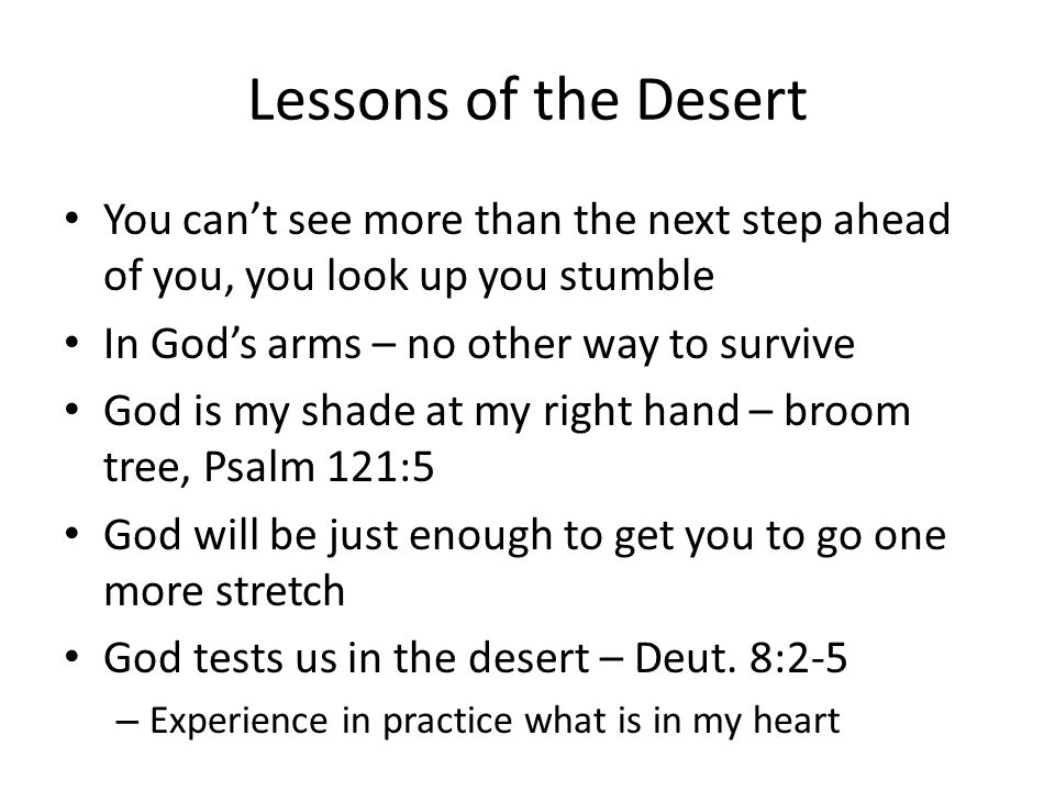 Lessons of the Desert You can’t see more than the next step ahead of you, you look up you stumble In God’s arms – no other way to survive God is my shade at my right hand – broom tree, Psalm 121:5 God will be just enough to get you to go one more stretch God tests us in the desert – Deut.