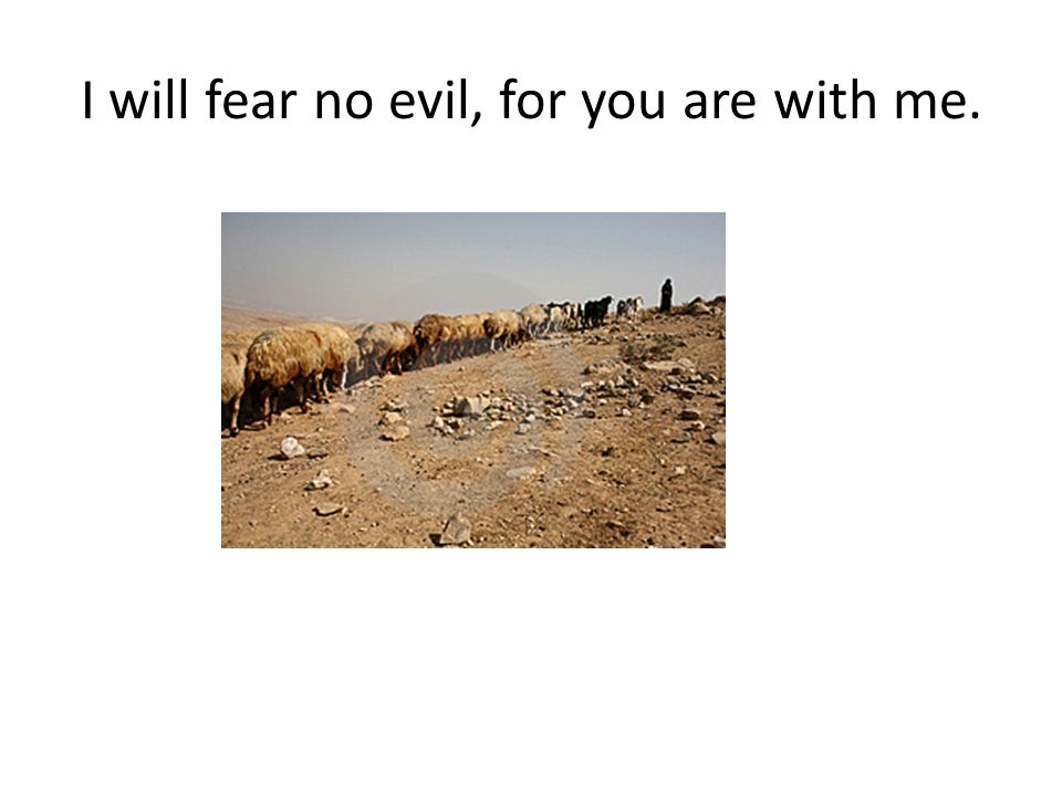 I will fear no evil, for you are with me.