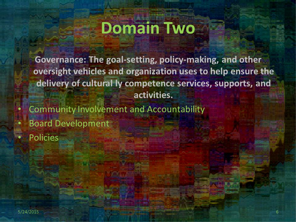 Domain Two Governance: The goal-setting, policy-making, and other oversight vehicles and organization uses to help ensure the delivery of cultural ly competence services, supports, and activities.