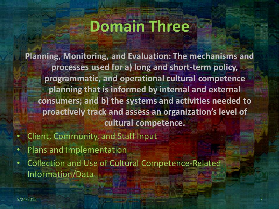 Domain Three Planning, Monitoring, and Evaluation: The mechanisms and processes used for a) long and short-term policy, programmatic, and operational cultural competence planning that is informed by internal and external consumers; and b) the systems and activities needed to proactively track and assess an organization’s level of cultural competence.