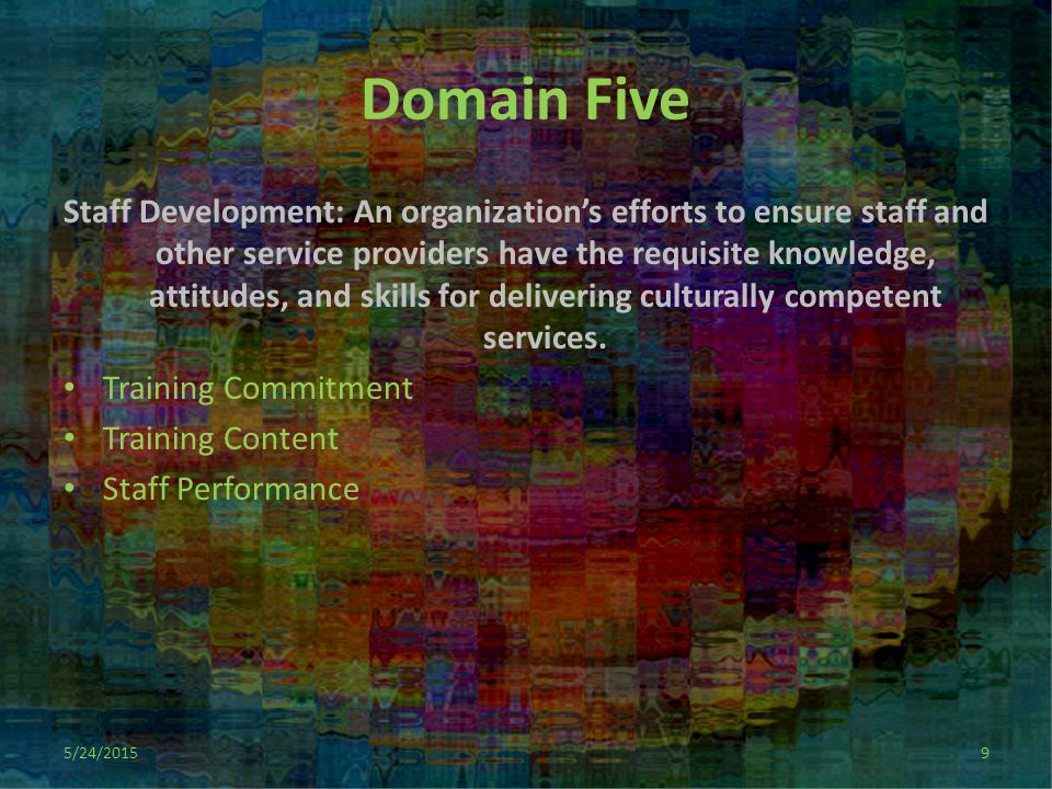 Domain Five Staff Development: An organization’s efforts to ensure staff and other service providers have the requisite knowledge, attitudes, and skills for delivering culturally competent services.