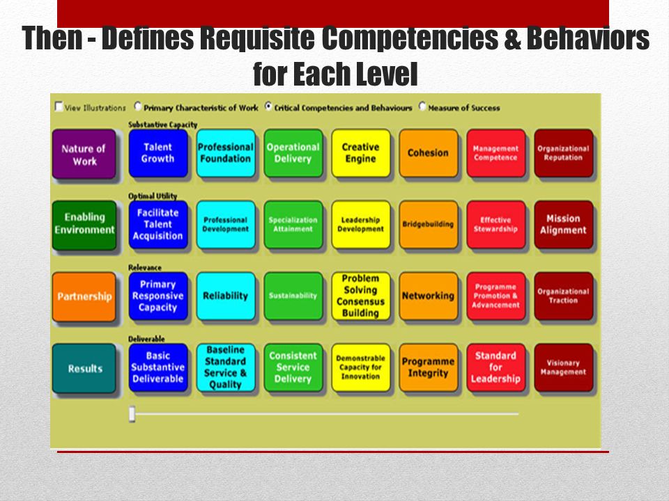 Then - Defines Requisite Competencies & Behaviors for Each Level