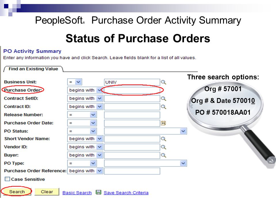 PeopleSoft ® Purchase Order Activity Summary Status of Purchase Orders Three search options: Org # Org # & Date PO # AA01