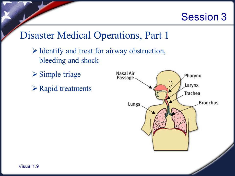 Visual 1.9 Session 3 Disaster Medical Operations, Part 1  Identify and treat for airway obstruction, bleeding and shock  Simple triage  Rapid treatments