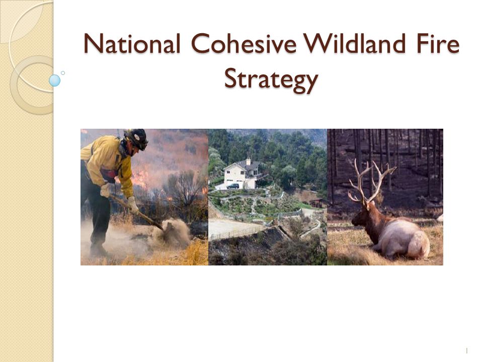 National Cohesive Wildland Fire Strategy 1