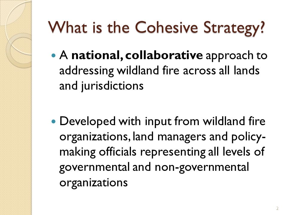 What is the Cohesive Strategy.