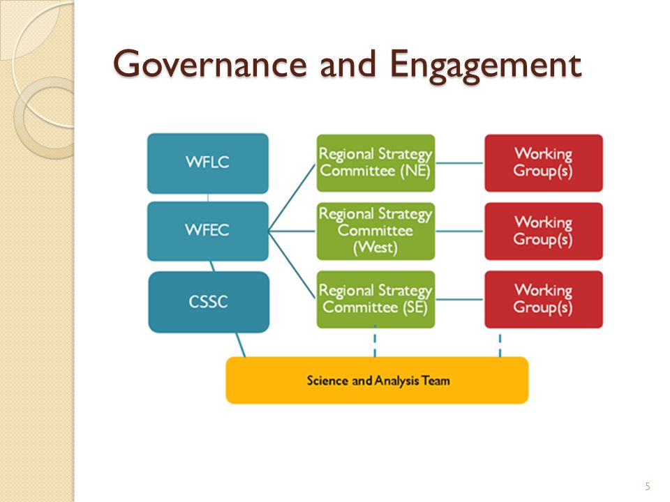 Governance and Engagement 5