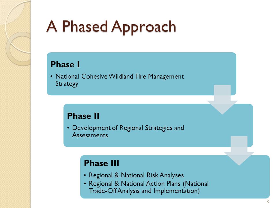 A Phased Approach 8 Phase I National Cohesive Wildland Fire Management Strategy Phase II Development of Regional Strategies and Assessments Phase III Regional & National Risk Analyses Regional & National Action Plans (National Trade-Off Analysis and Implementation)