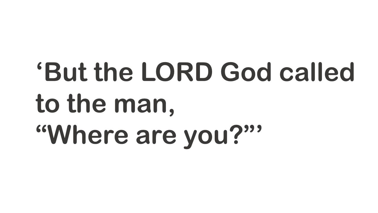 ‘But the LORD God called to the man, Where are you ’