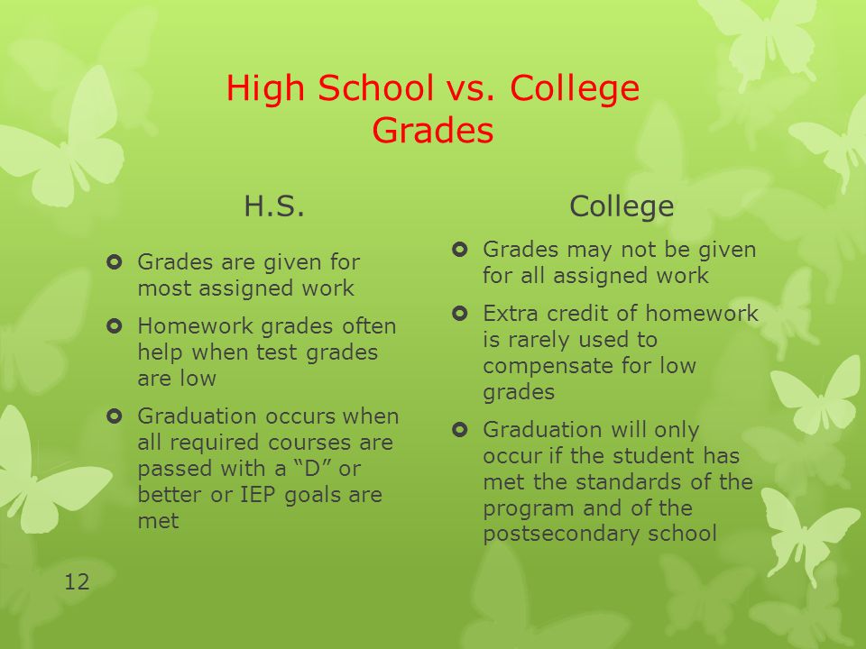 Essay Writing My School