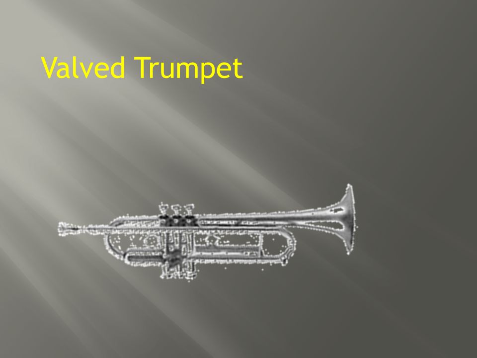 Valved Trumpet