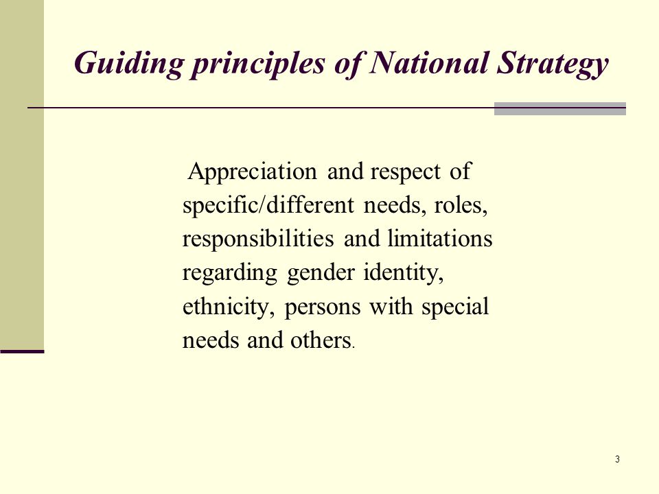 Guiding principles of National Strategy Appreciation and respect of specific/different needs, roles, responsibilities and limitations regarding gender identity, ethnicity, persons with special needs and others.
