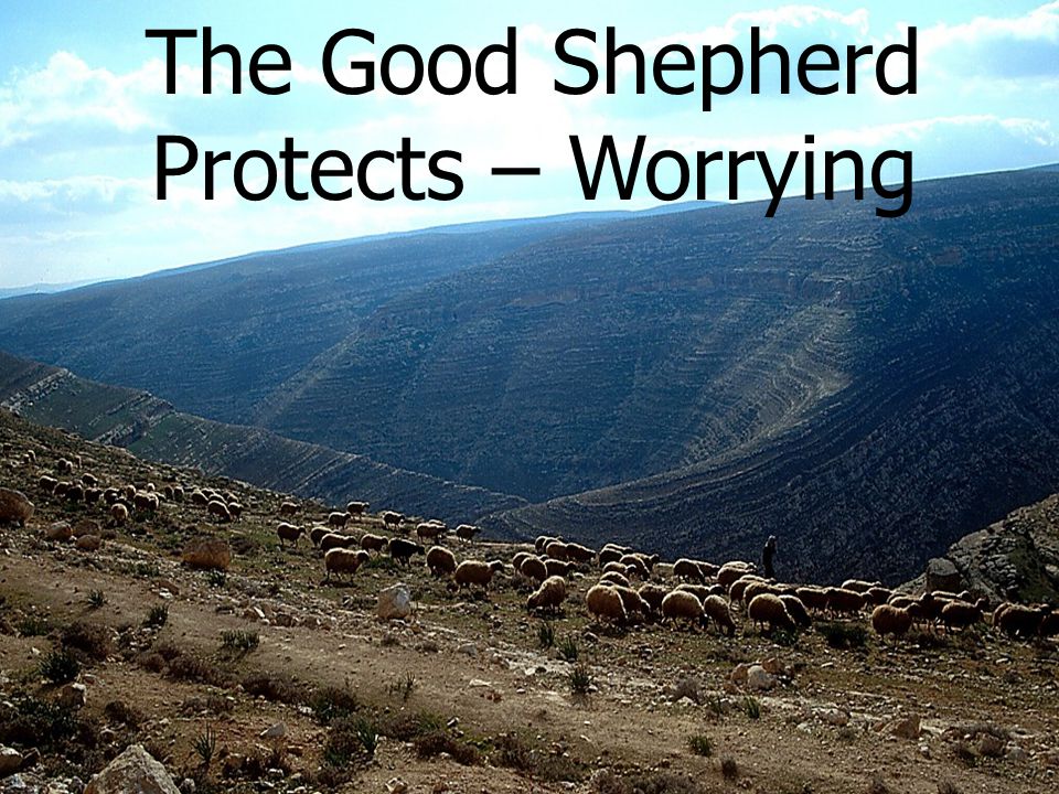 The Good Shepherd Protects – Worrying