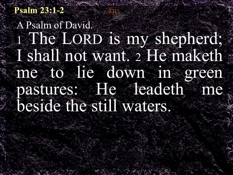 Psalm 23:1-2 (KJV) A Psalm of David. 1 The L ORD is my shepherd; I shall not want.