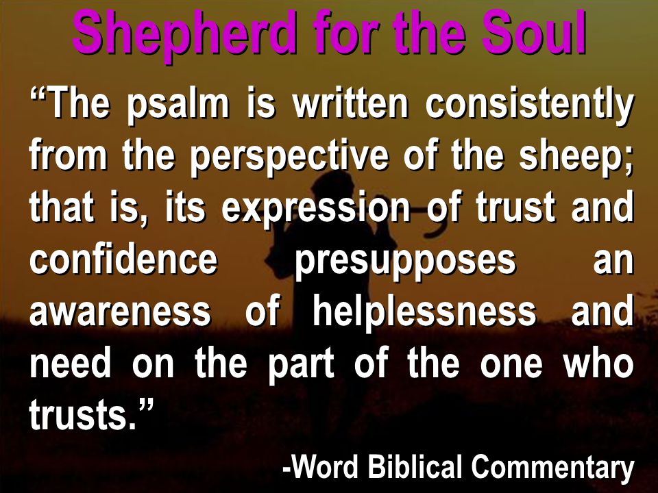 Shepherd for the Soul The psalm is written consistently from the perspective of the sheep; that is, its expression of trust and confidence presupposes an awareness of helplessness and need on the part of the one who trusts. -Word Biblical Commentary The psalm is written consistently from the perspective of the sheep; that is, its expression of trust and confidence presupposes an awareness of helplessness and need on the part of the one who trusts. -Word Biblical Commentary