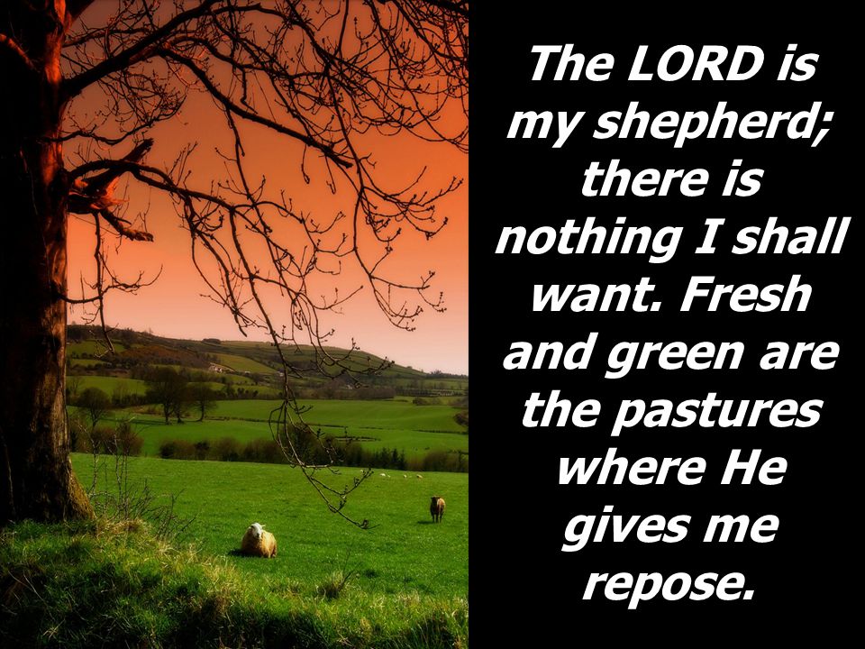 The LORD is my shepherd; there is nothing I shall want.