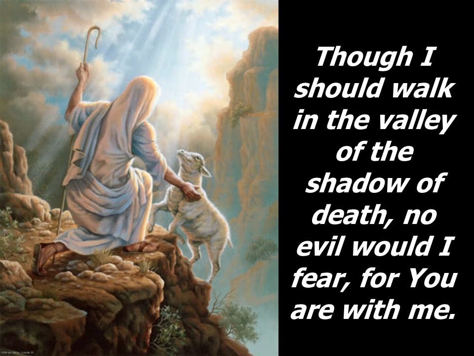 Though I should walk in the valley of the shadow of death, no evil would I fear, for You are with me.