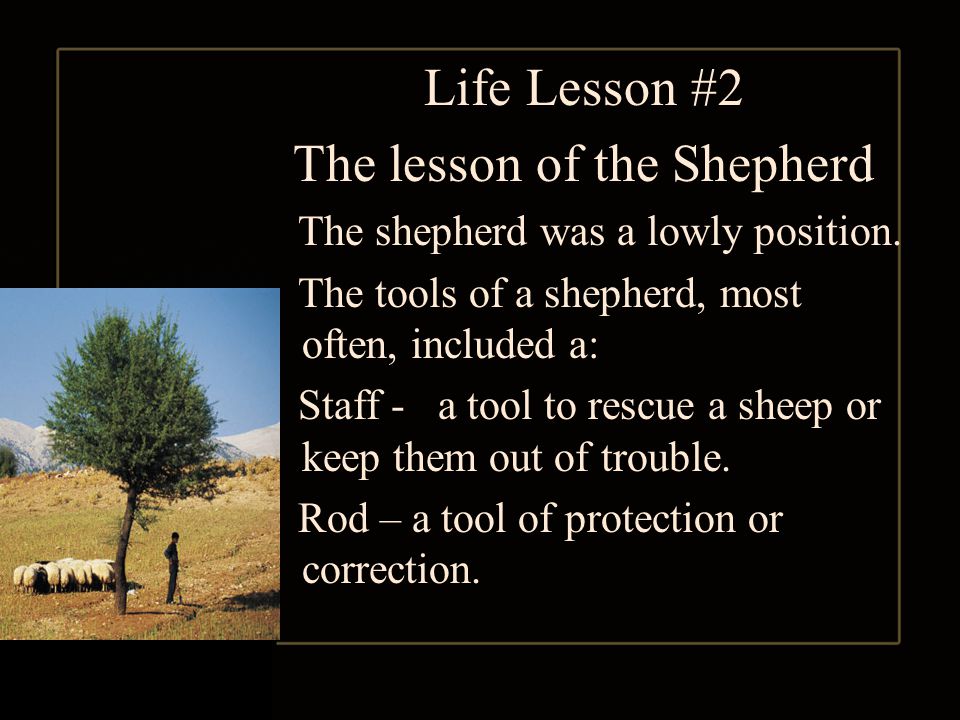 Life Lesson #2 The lesson of the Shepherd The shepherd was a lowly position.
