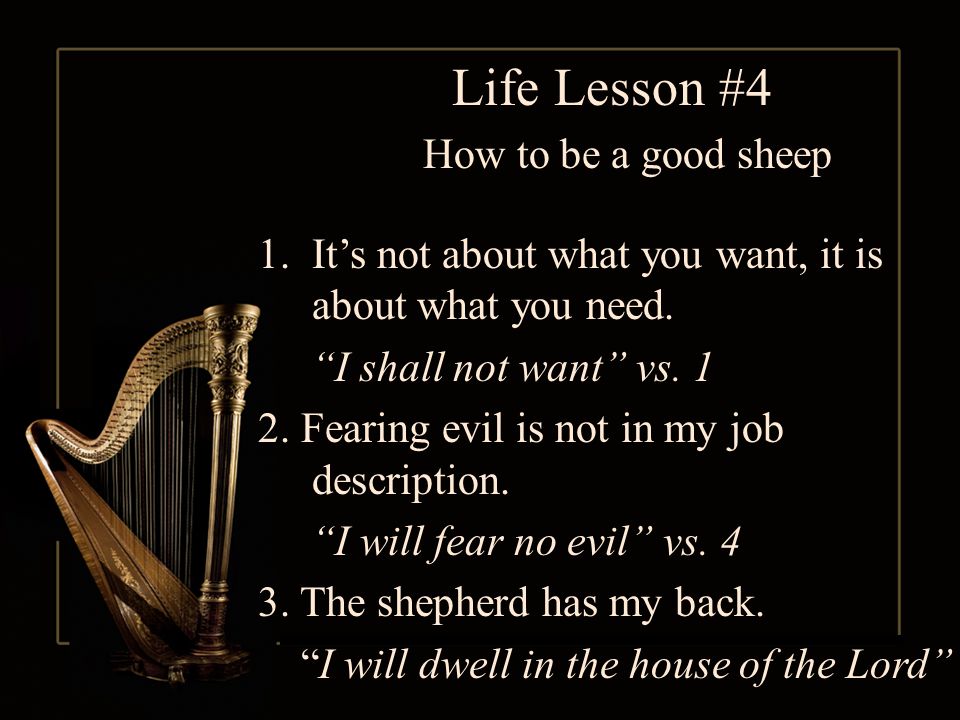Life Lesson #4 How to be a good sheep 1.It’s not about what you want, it is about what you need.