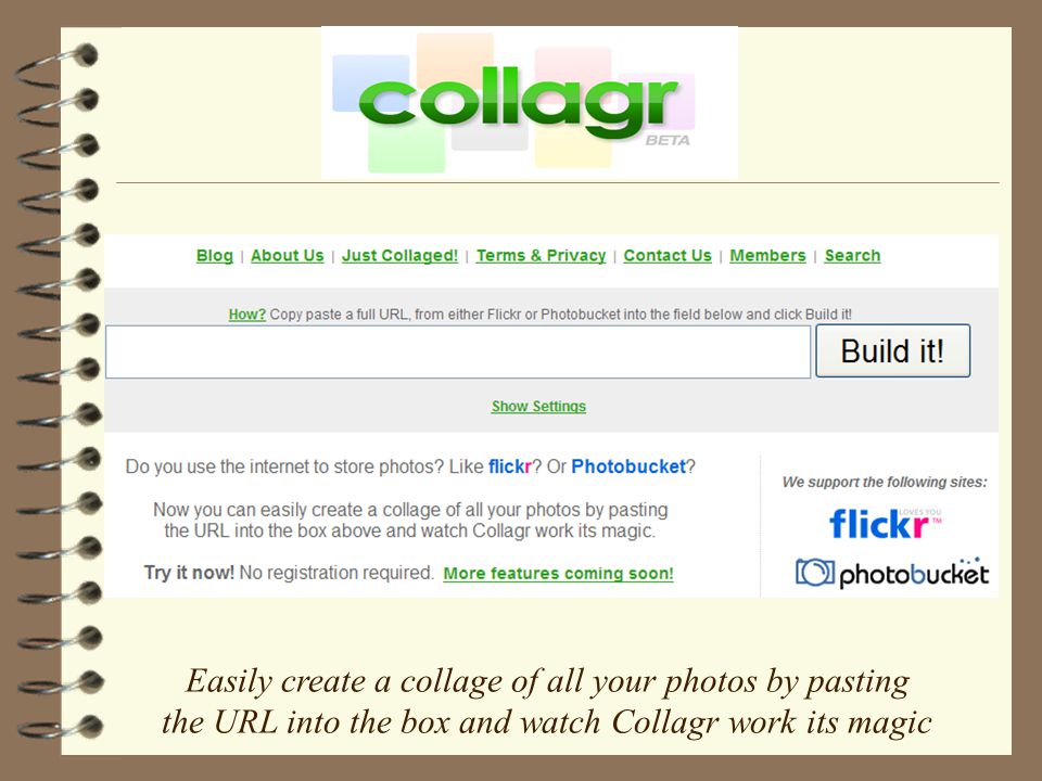 Easily create a collage of all your photos by pasting the URL into the box and watch Collagr work its magic