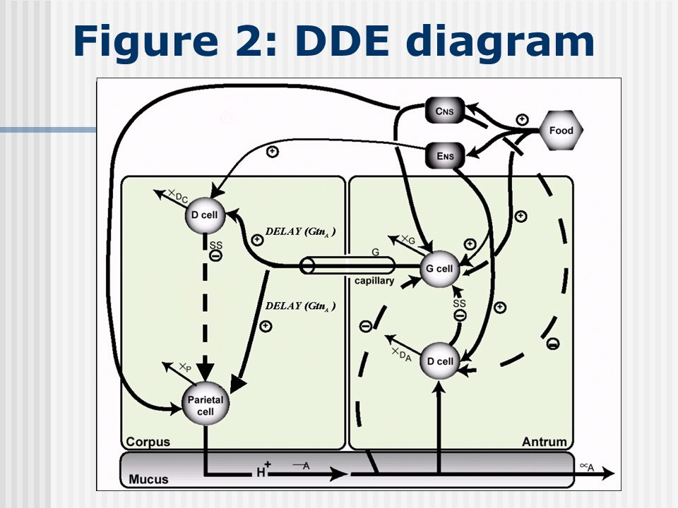 Figure 2: DDE diagram