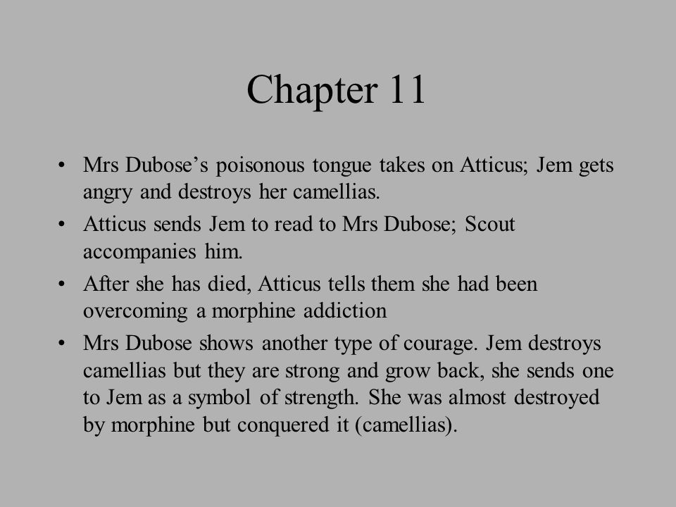 how does atticus show courage essay how does atticus show courage essay