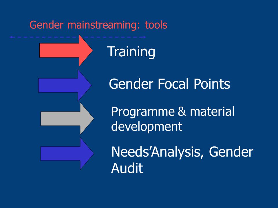 Gender mainstreaming: tools Gender Focal Points Training Programme & material development Needs’Analysis, Gender Audit