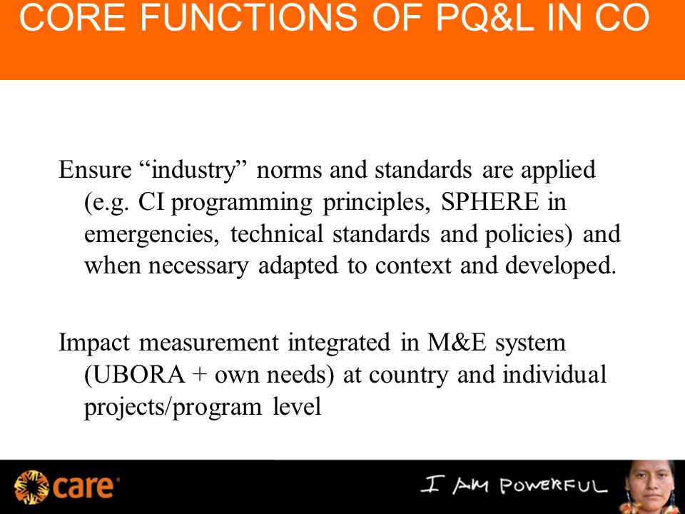CORE FUNCTIONS OF PQ&L IN CO Ensure industry norms and standards are applied (e.g.