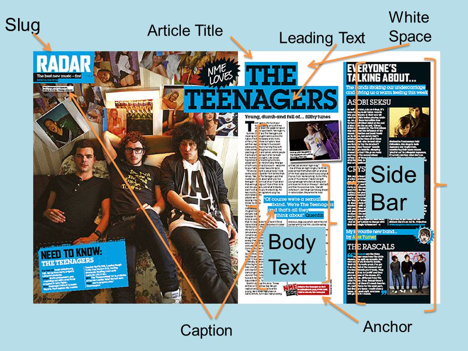 Article Title Slug Leading Text White Space Body Text Anchor Side Bar Caption