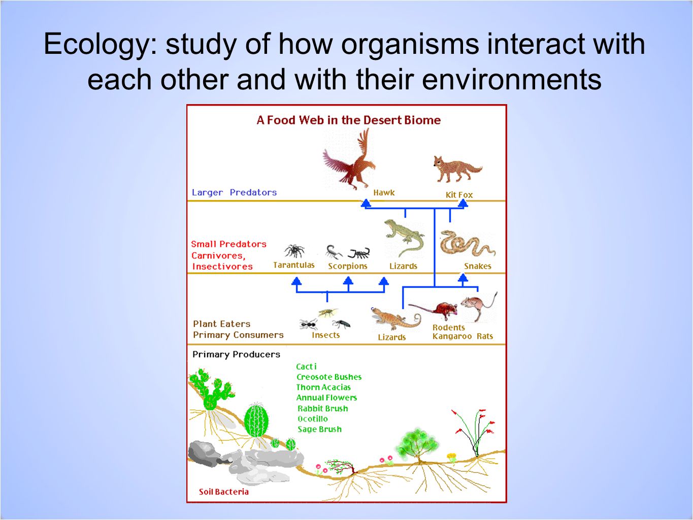 Ecology: study of how organisms interact with each other and with their environments