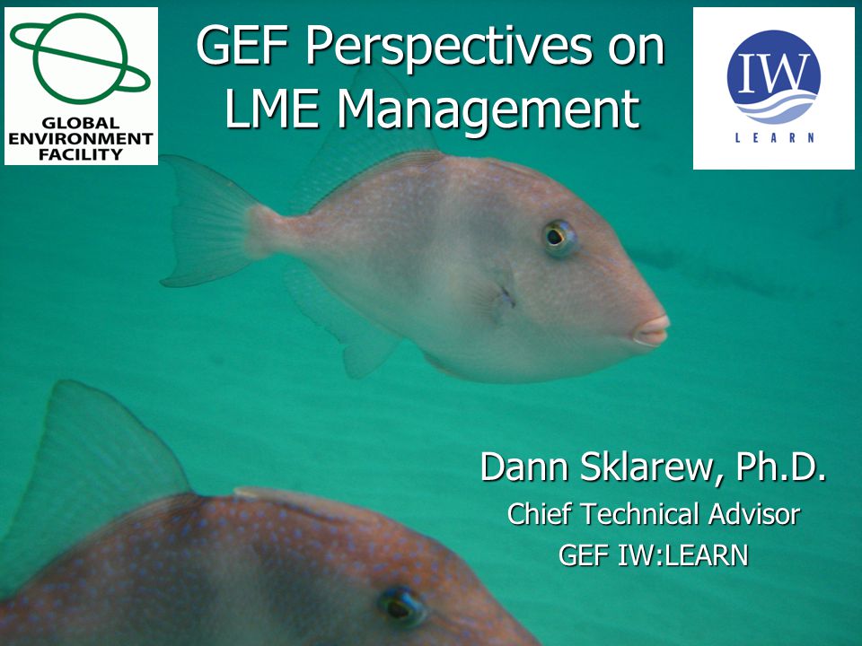 1 June June June 2015 GEF Perspectives on LME Management Dann Sklarew, Ph.D.