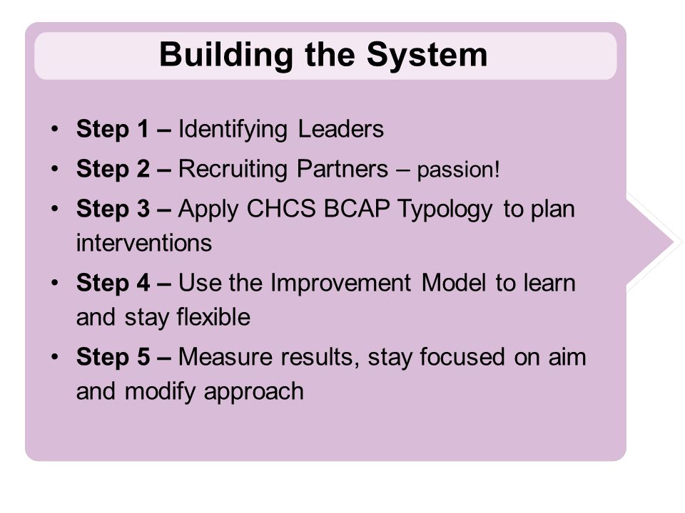 Building the System Step 1 – Identifying Leaders Step 2 – Recruiting Partners – passion.