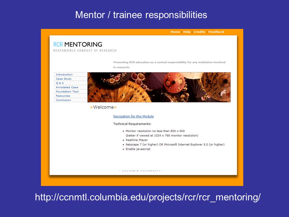 Mentor / trainee responsibilities