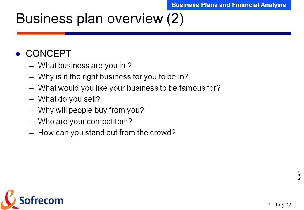 Business overview business plan