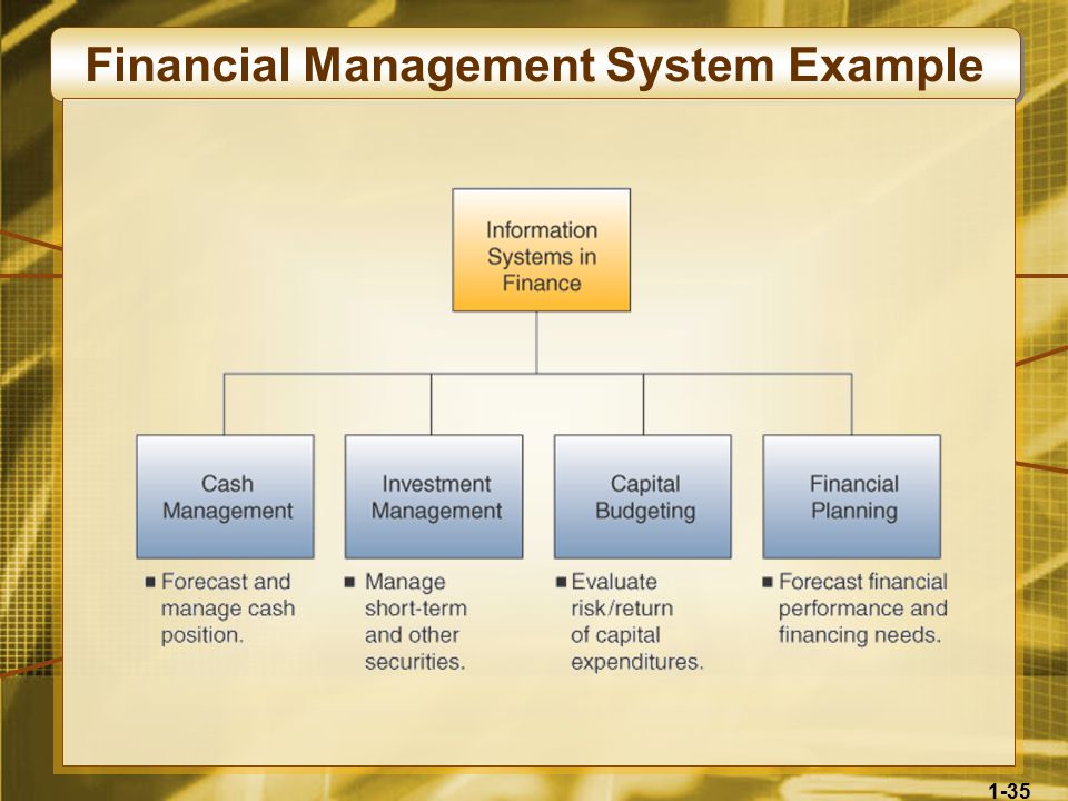 1-35 Financial Management System Example