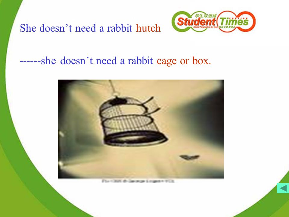 She doesn’t need a rabbit hutch she doesn’t need a rabbit cage or box.