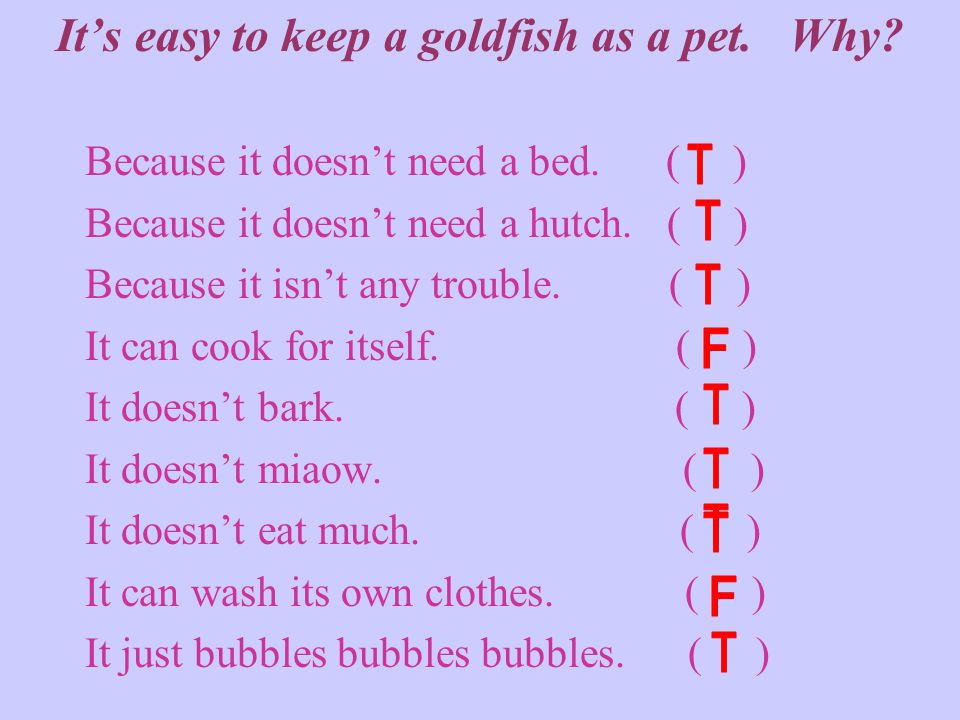 It’s easy to keep a goldfish as a pet. Why. Because it doesn’t need a bed.