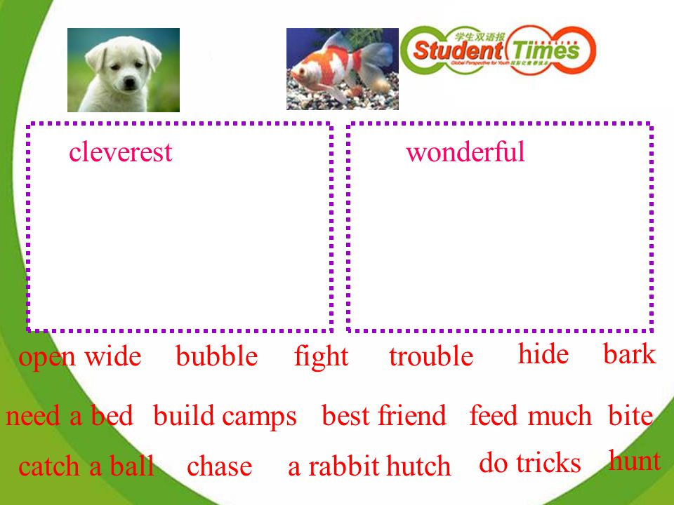 cleverestwonderful bite hide catch a ball open wide hunt chase build campsbest friend fight do tricks need a bedfeed much bark bubbletrouble a rabbit hutch